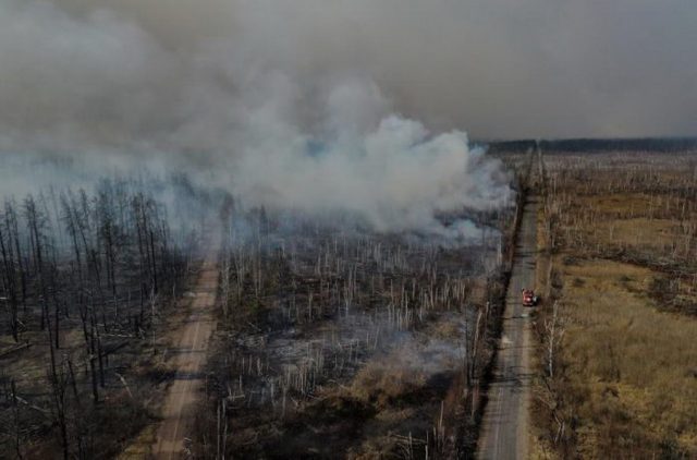 Пожары на Житомирщине нанесли ущерба стране на 25 миллионов гривень