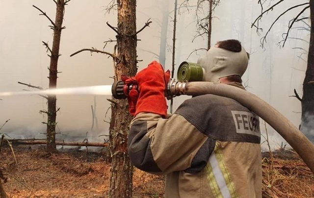 На Житомирщине новый пожар перешел на заповедник