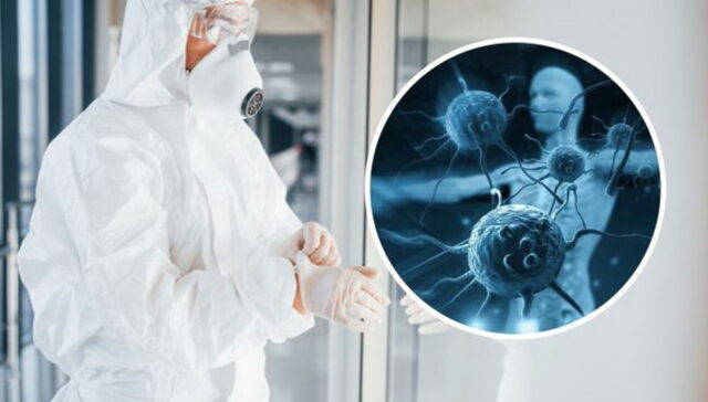 Новая мутация коронавируса разрушает антитела: в США нашли штамм опаснее «Дельты»