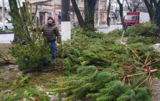 В Одессе продавцы выбросили на улицы сотни непроданных елок (фото)